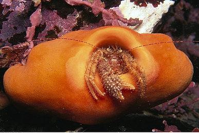 《剑星》团队ShiftUp公布新作概念图 东方幻想题材跨平台大作